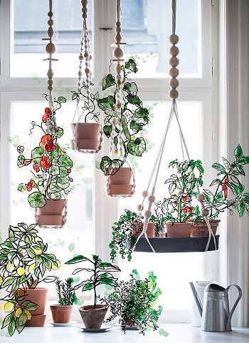 ���������