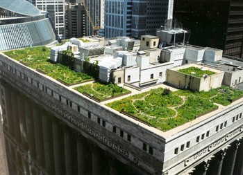 Озеленение крыши